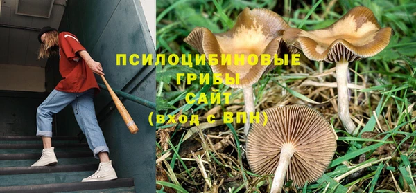 соль курить ск Белокуриха