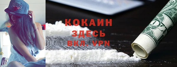 первитин Богданович