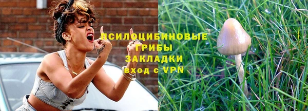 гидропоника Богородск